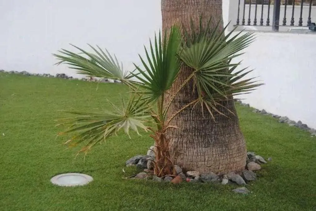 Vivienda Vacacional Habitat Tropical Maspalomas  Spanien